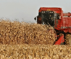 Flambée des prix agricoles