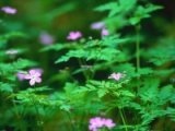 Qu’ est ce que l’ investissement socialement responsable (ISR) ?