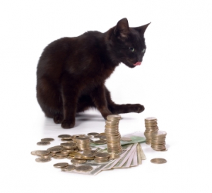 Une retraitée reçoit une amende de 75£ pour avoir collé des affiches de son chat perdu