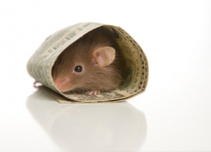 Une souris se construit un nid avec des billets de 20 $ dans un distributeur